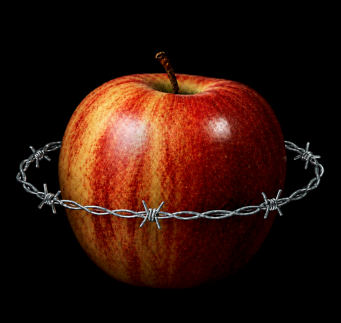 Copertina di SU E GIÙ